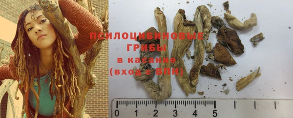 apvp Абинск