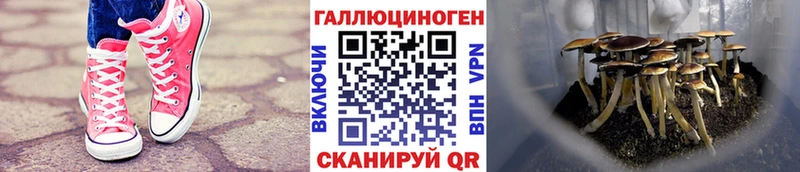 Псилоцибиновые грибы ЛСД  гидра ссылка  Людиново  цена наркотик 
